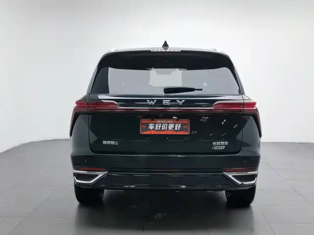 WEY Lanshan 2023 AWD Ultra Long Range Edition — фото 4