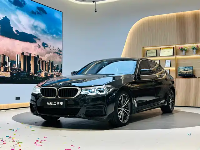 BMW 5 SERIES