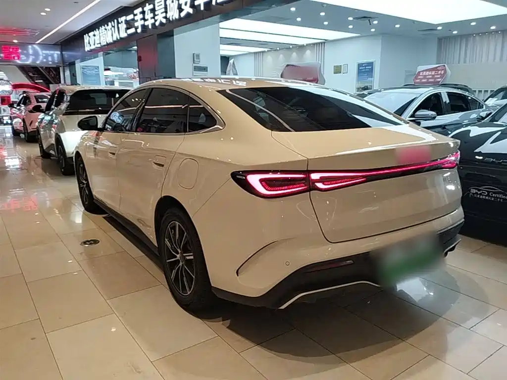 BYD Seal 06 New Energy 2024 DM-i 80KM Prestige фото 5