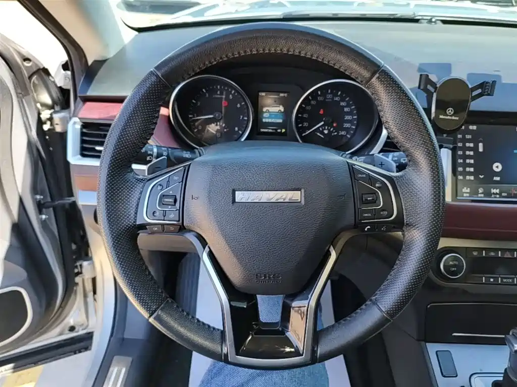 Haval H6 Coupe 2018 Red Label 1.5T Auto 2WD Luxury Edition фото 11
