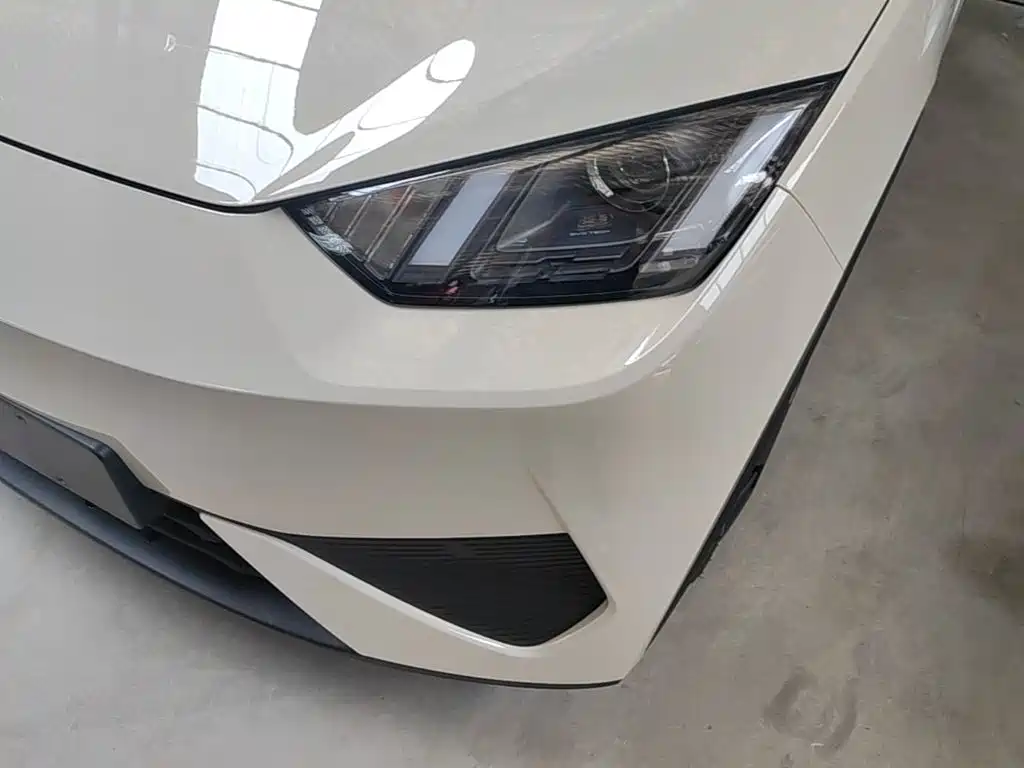 BYD Seagull 2026 2025 Smart Drive Edition 305km Vitality Version