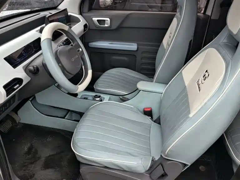 Geely Galaxy Panda 2023 Panda Mini 200km Endurance Bear фото 8