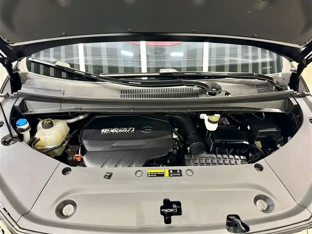 GAC TRUMPCHI TRUMPCHI M8