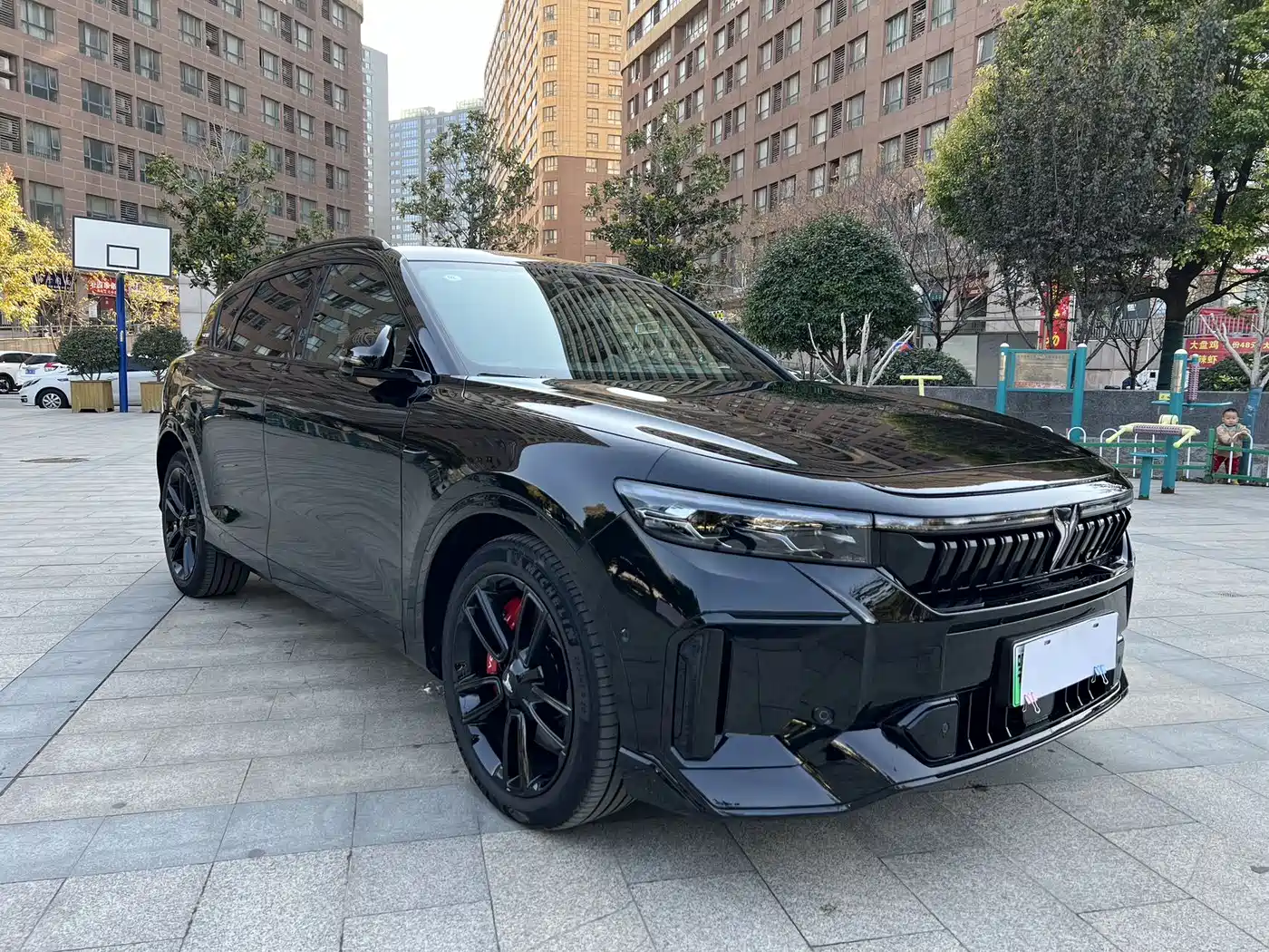 Voyah Auto VOYAH FREE 2025 318 259km 4WD Explorer Edition фото 4