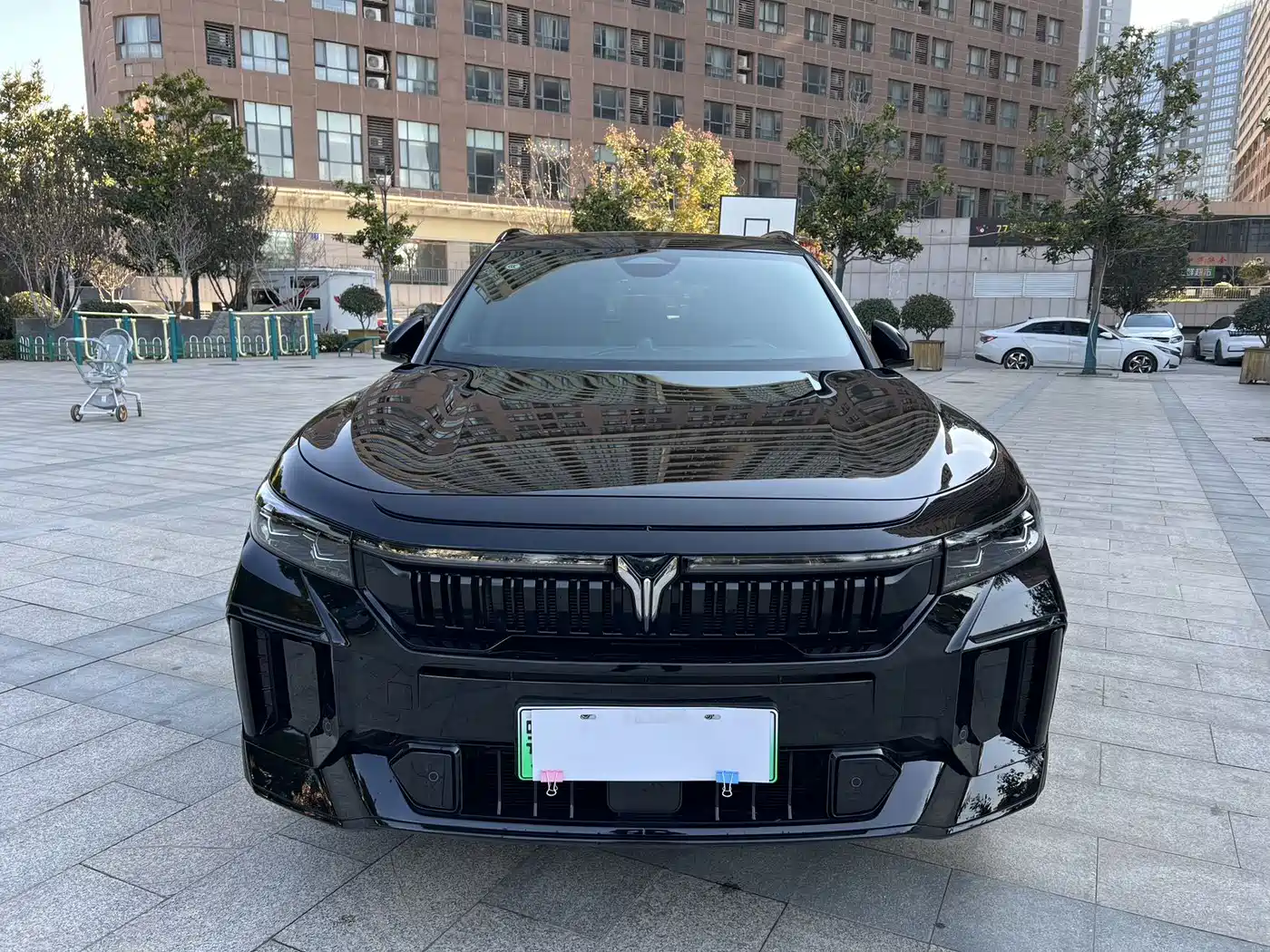 Voyah Auto VOYAH FREE 2025 318 259km 4WD Explorer Edition фото 3
