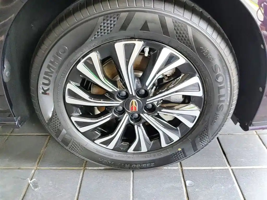 Hongqi HQ9 PHEV 2024 Model 2.0T AWD Luxury Edition фото 14