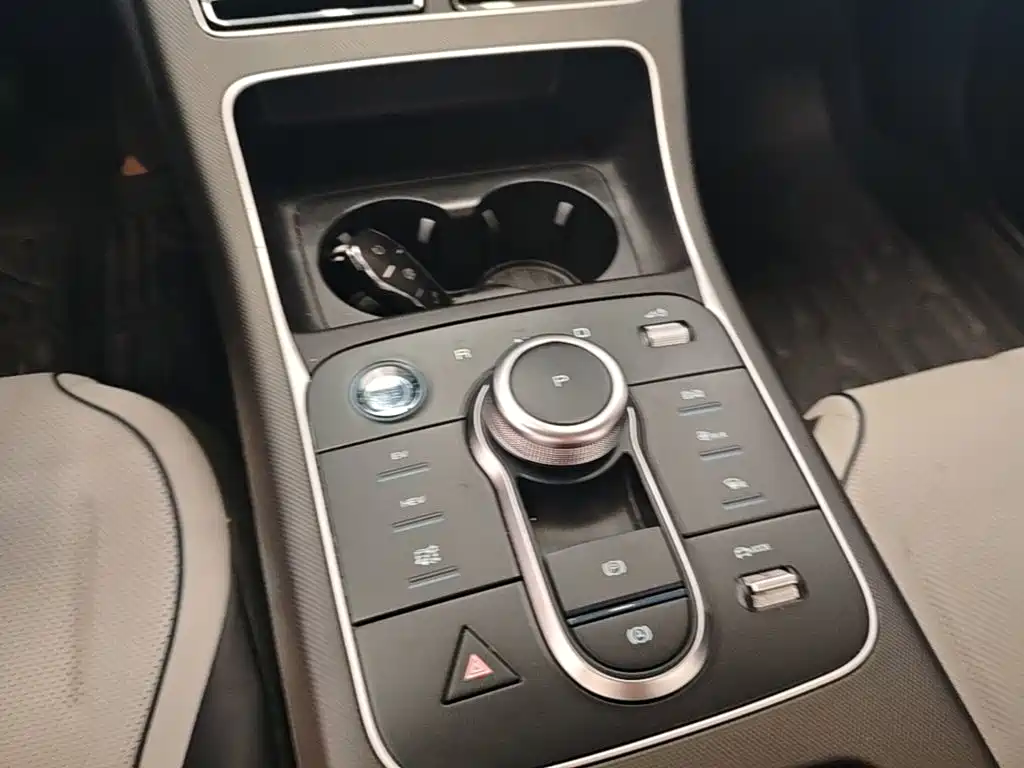 BYD Destroyer 05 2024 2024 Glory Edition DM-i 55KM Luxury
