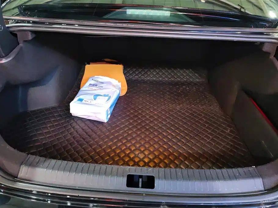 Volkswagen Passat 2020 330TSI Luxury Edition China VI фото 4