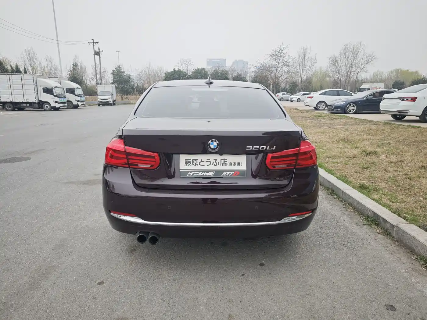 BMW 3 Series 2017 320Li xDrive Fashion фото 5