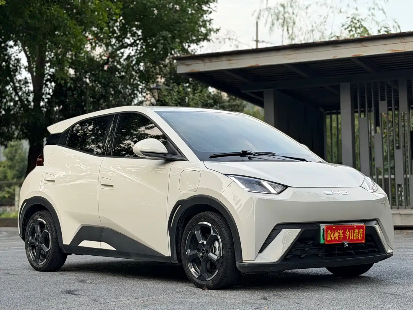 BYD Seagull 2024