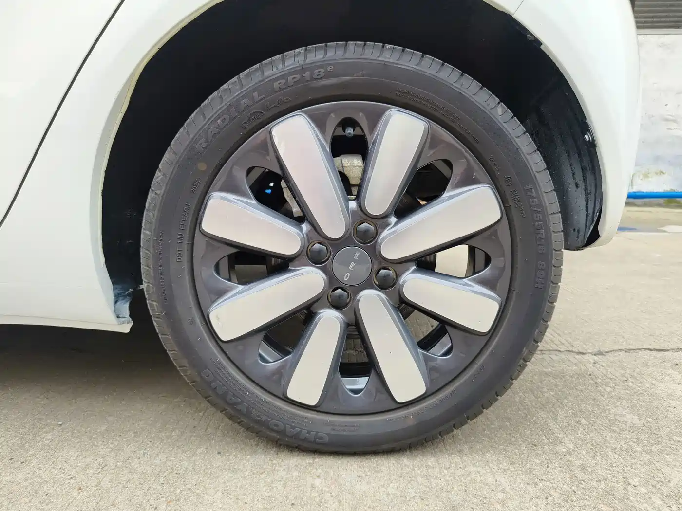 Ora Black Cat 2019 2019 351km Goddess Edition