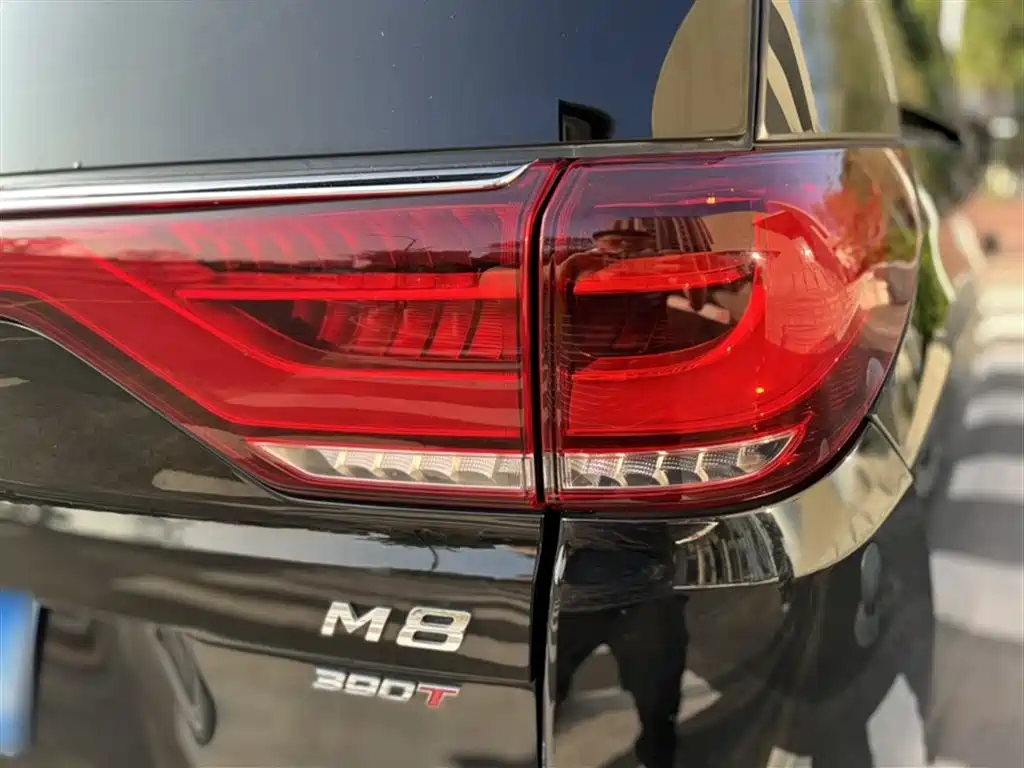 GAC Trumpchi Trumpchi M8 2021 Master Series 390T Prestige Edition фото 9