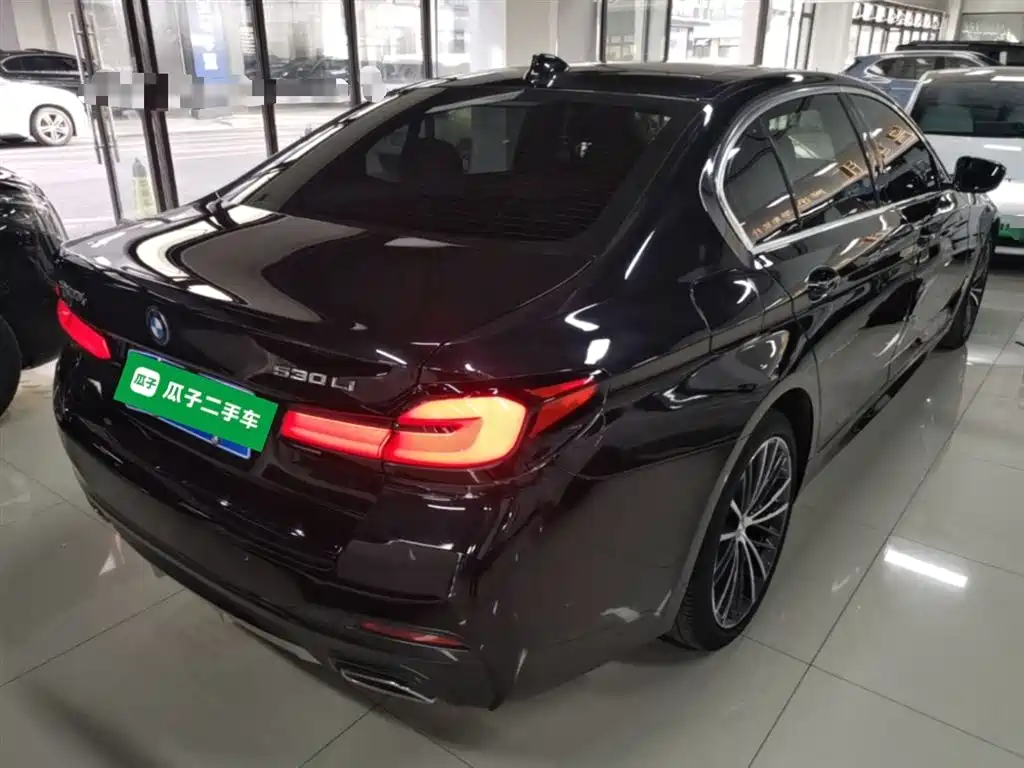 BMW 5 Series 2022 Model Second Facelift 530Li Leading M Sport Package фото 7