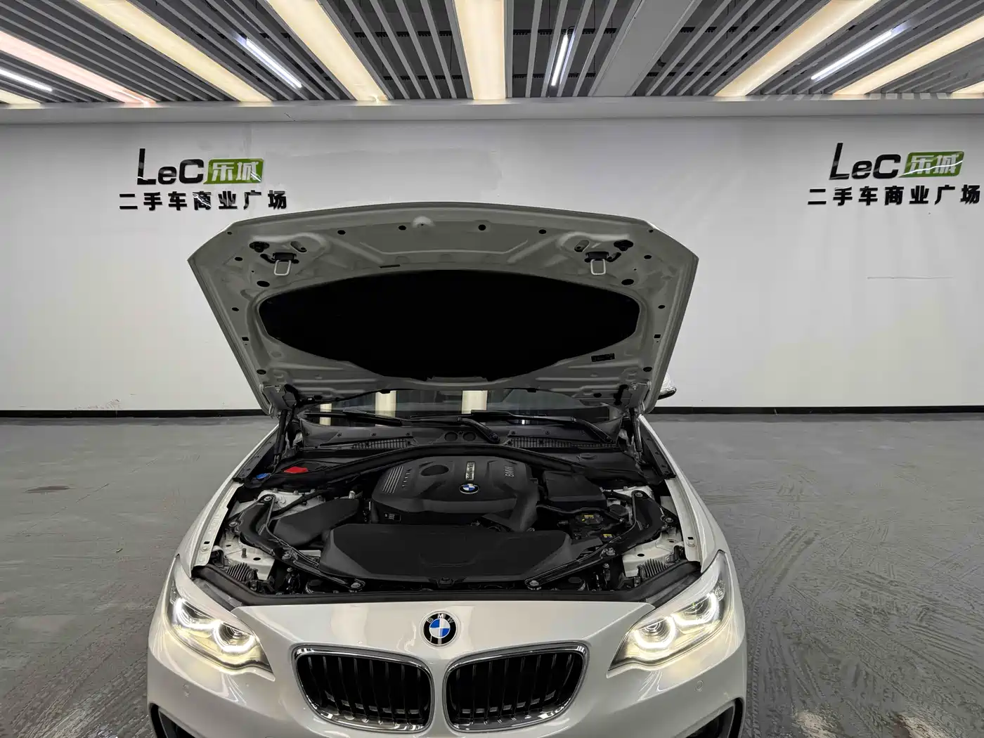 BMW 2 Series (Import) 2018 225i Convertible Coupe Premium M Sport Package фото 10