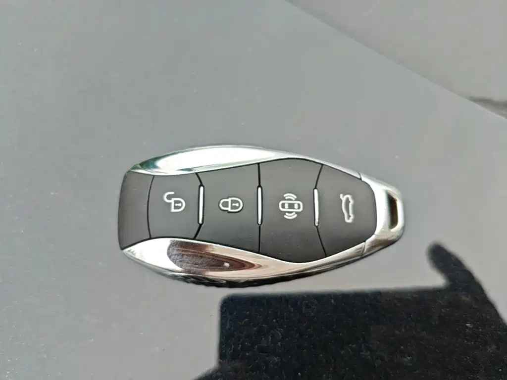 Hongqi HS7 PHEV 2024 2024 2.0T PHEV AWD Qichang Edition 7-seater