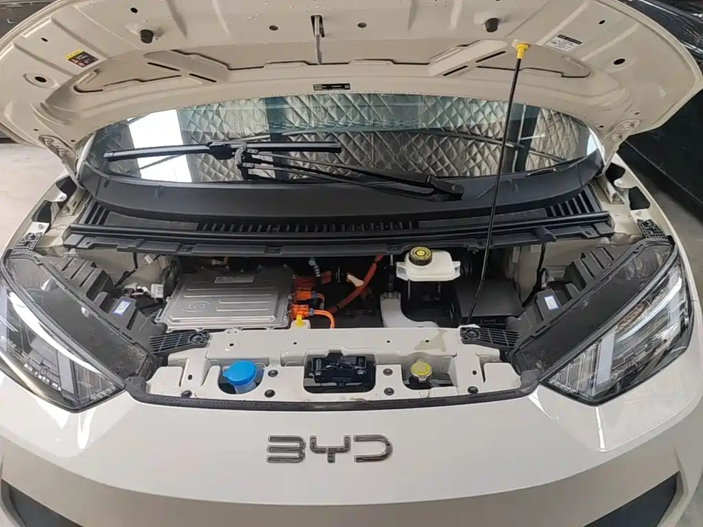 BYD Seagull 2026 2025 Smart Drive Edition 305km Vitality Version