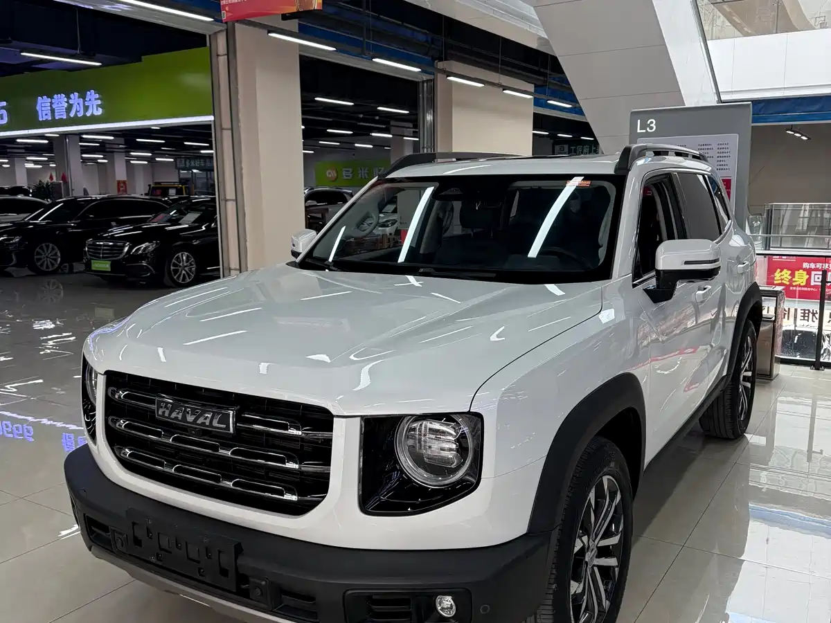 HAVAL BIG DOG