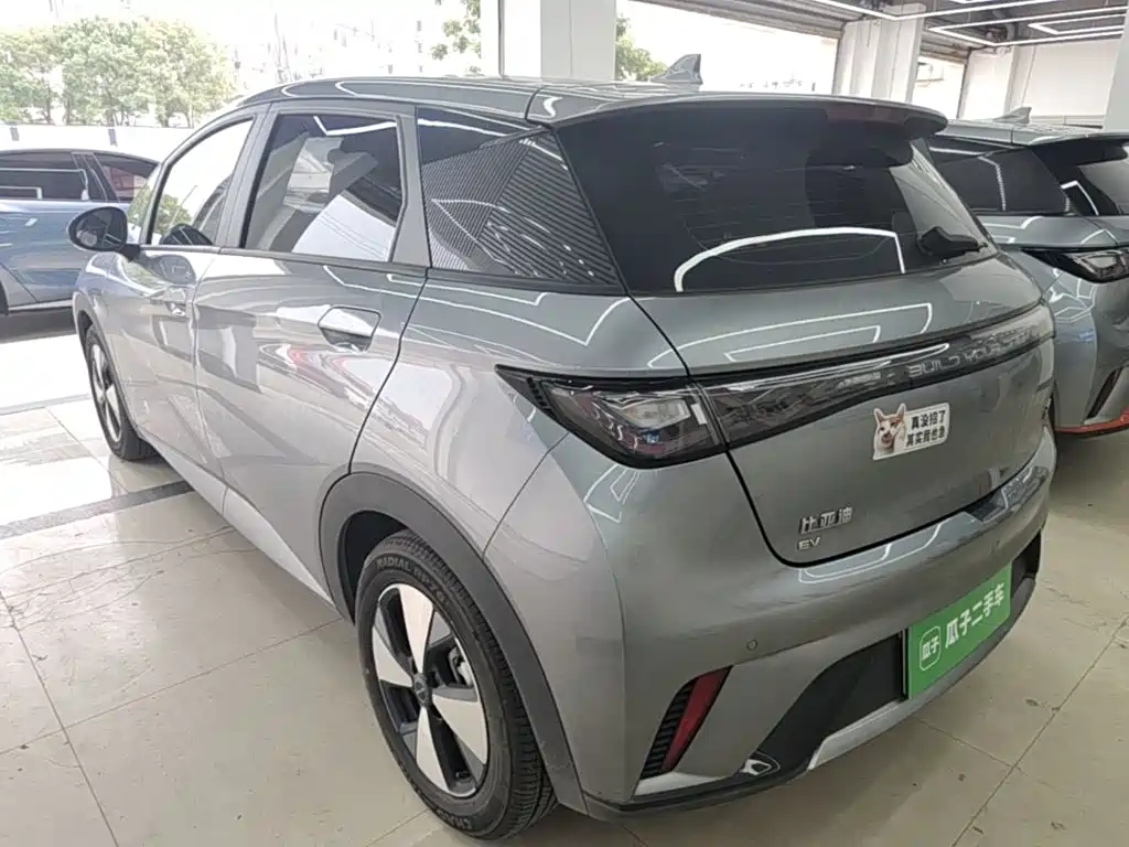 Фото 5 - BYD Dolphin