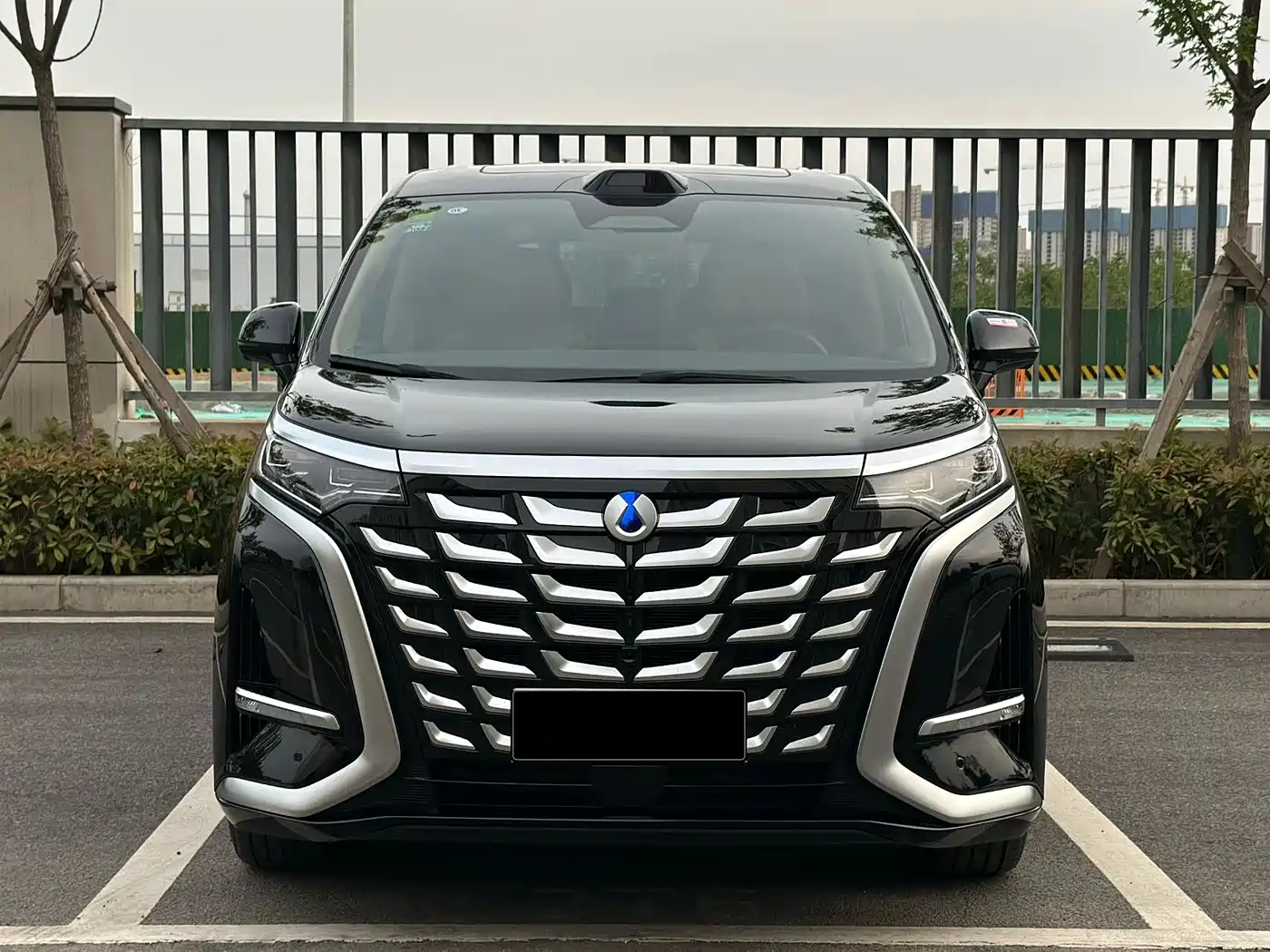 Denza D9 2025 DM-i Smart Driving Edition 1020 AWD Flagship фото 3