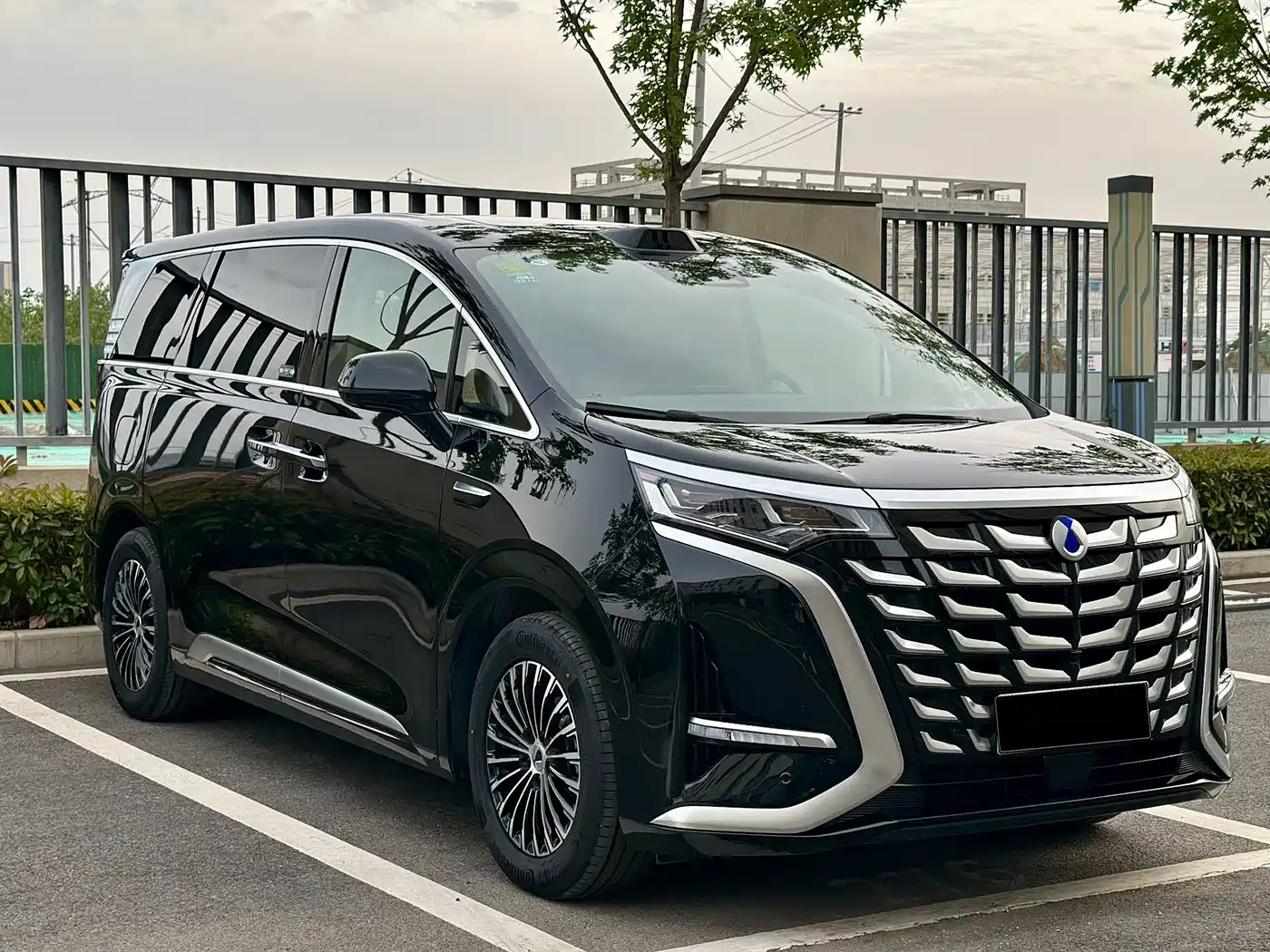 Denza D9 2025 DM-i Smart Driving Edition 1020 AWD Flagship фото 4