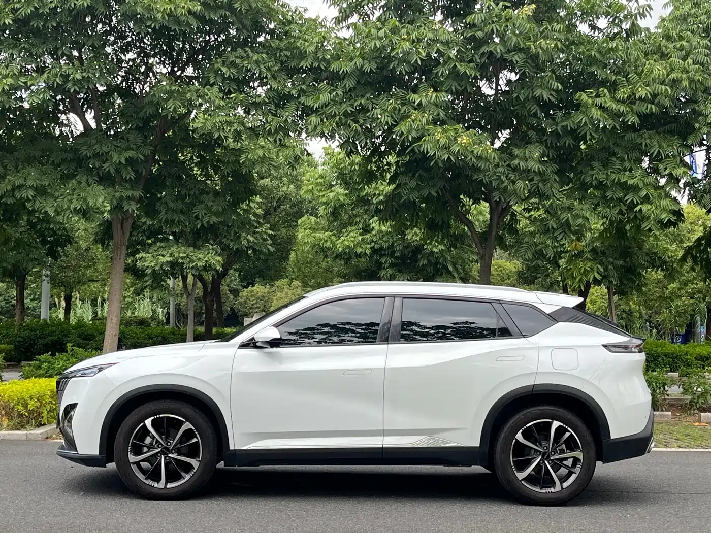 Dongfeng Aeolus Haohan 2024 2024 Glory Edition DH-i 1.5T Luxury