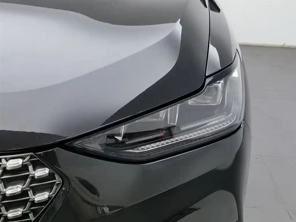 WEI PAI WEI BRAND VV6