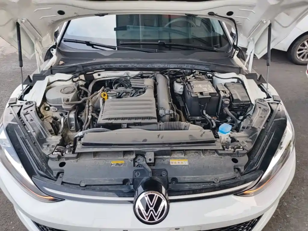 Volkswagen Lamando, миниатюра 20