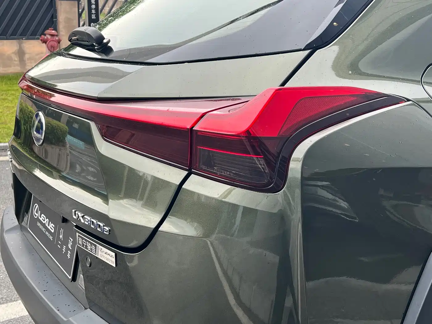 Lexus UX Electric 2021 2020 300e Pure Enjoyment Edition
