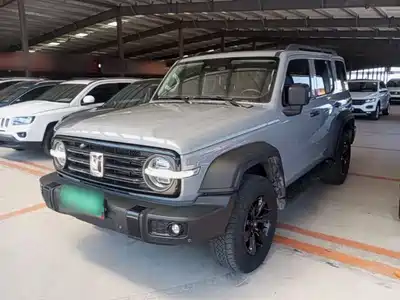 Tank 300