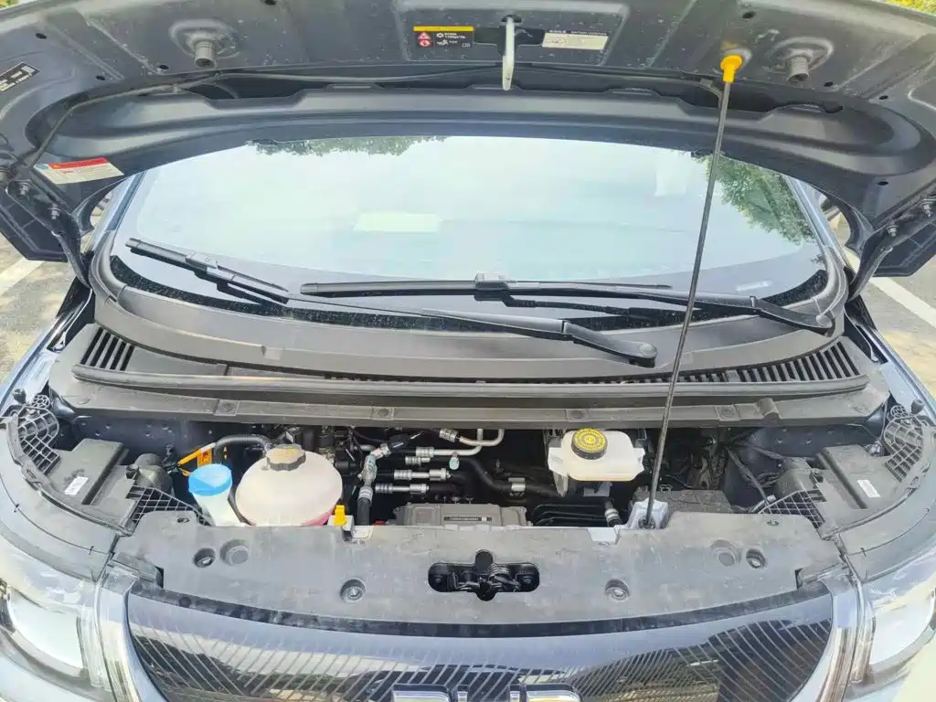 BYD Dolphin 2026 2025 420km Freedom Edition