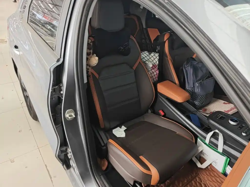 BYD e2 2022 2021 Luxury Edition