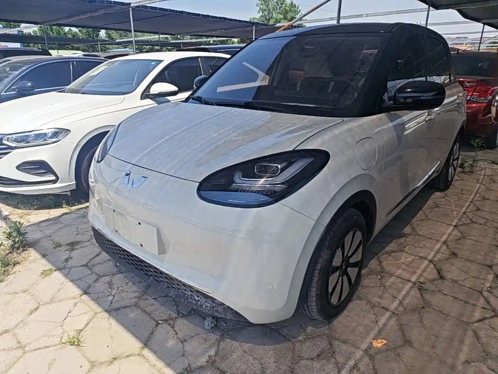 Wuling Motors Wuling Bingo 2024 333km Comfort Edition