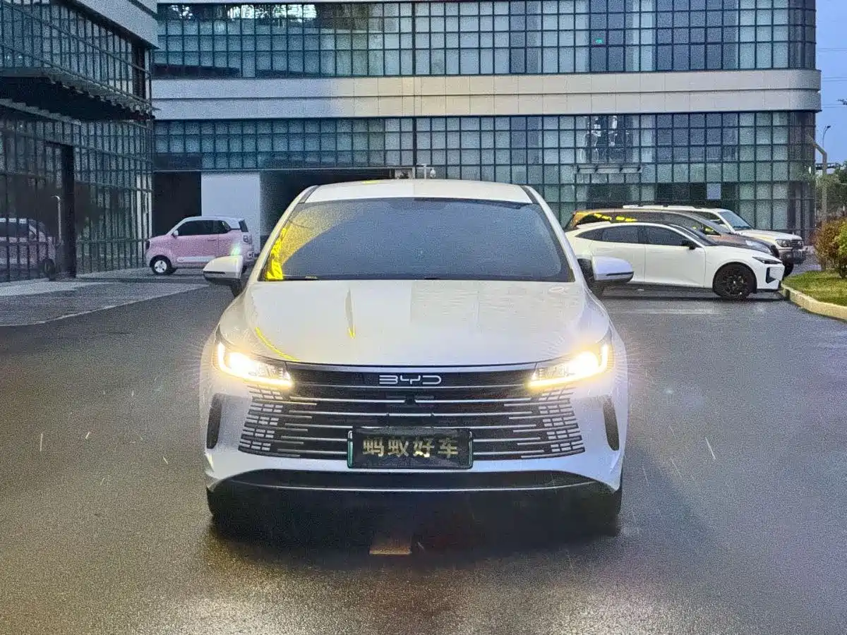BYD Destroyer 05 2023 Champion Edition DM-i 120KM Premium фото 2