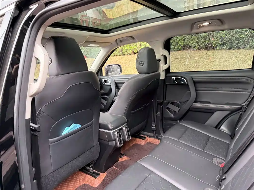 Haval Big Dog 2024 1.5T DCT Border Collie Edition фото 9