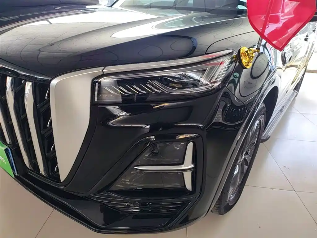 Hongqi HS5 2023 2.0T Flag Enjoy Pro Edition фото 24