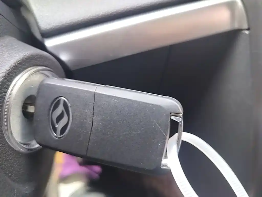 Huanghai Weilong 2020 2019 2.4T Gasoline Automatic 2WD Sport 4K22D4T