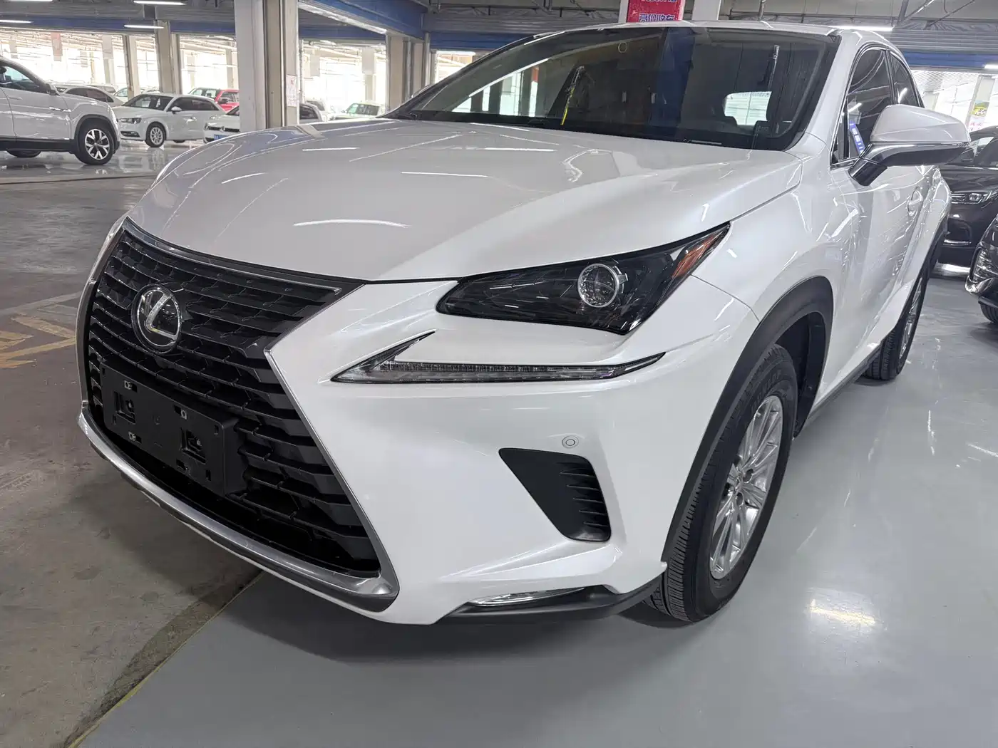 LEXUS NX