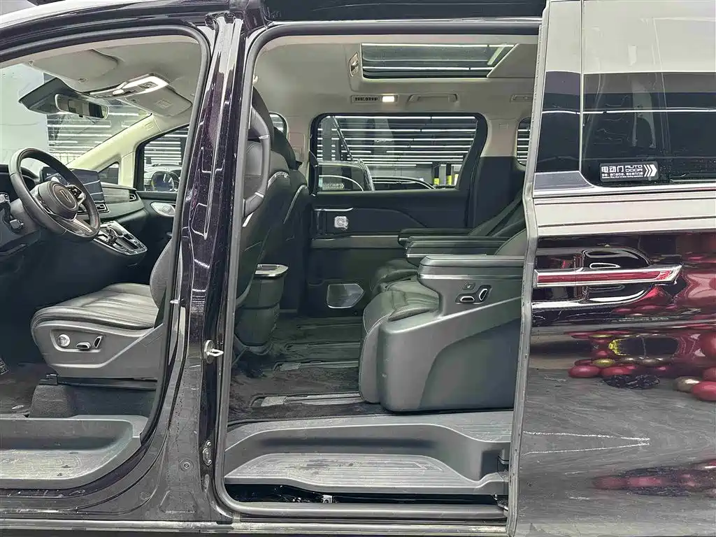 Hongqi HQ9 PHEV 2024 Model 2.0T AWD Business Edition фото 6