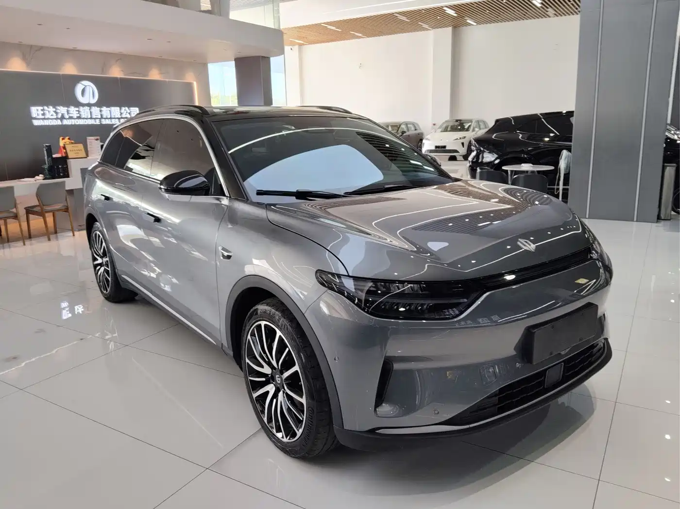 Leapmotor C11 2022 2021 Model Premium Edition