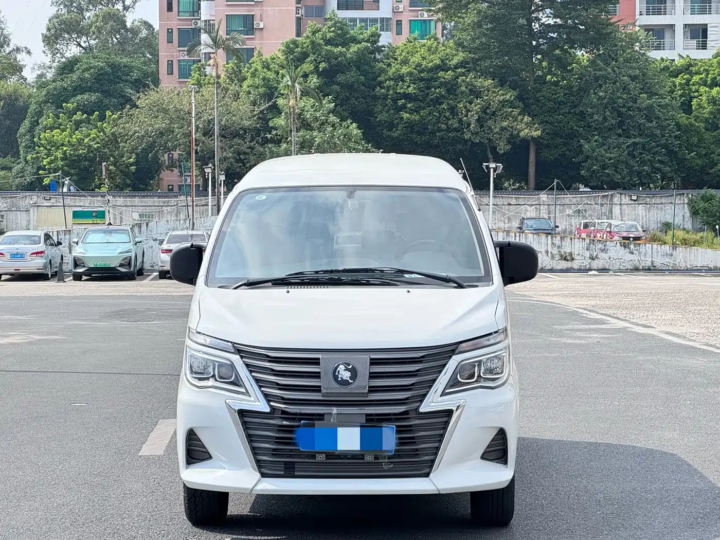 DONGFENG LINGZHI NEW ENERGY