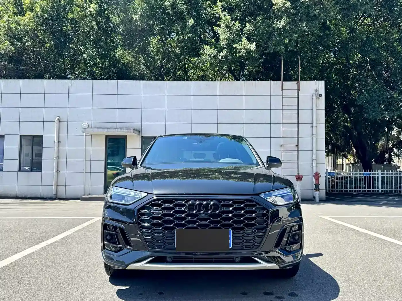 Audi Q5L Sportback 2024 40 TFSI Luxury Version фото 2