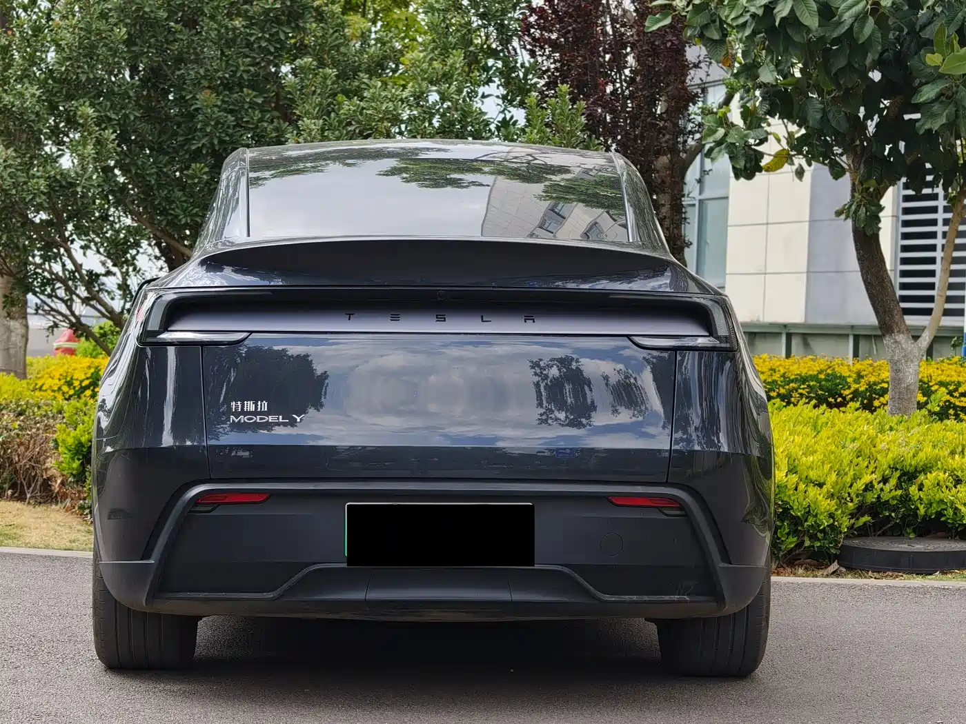 TESLA MODEL Y
