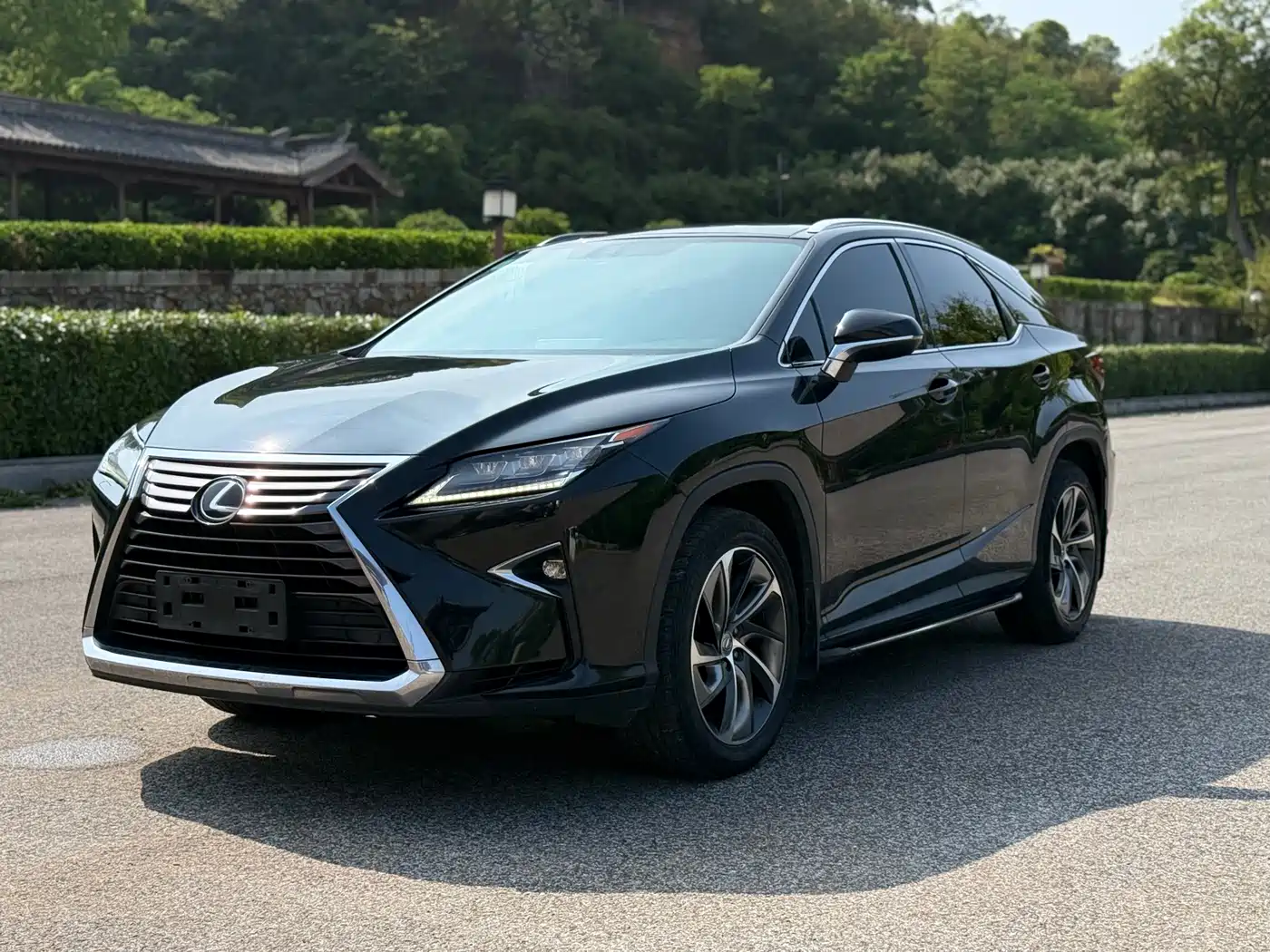Lexus RX 2016 300 4WD Elegance Edition (China V)