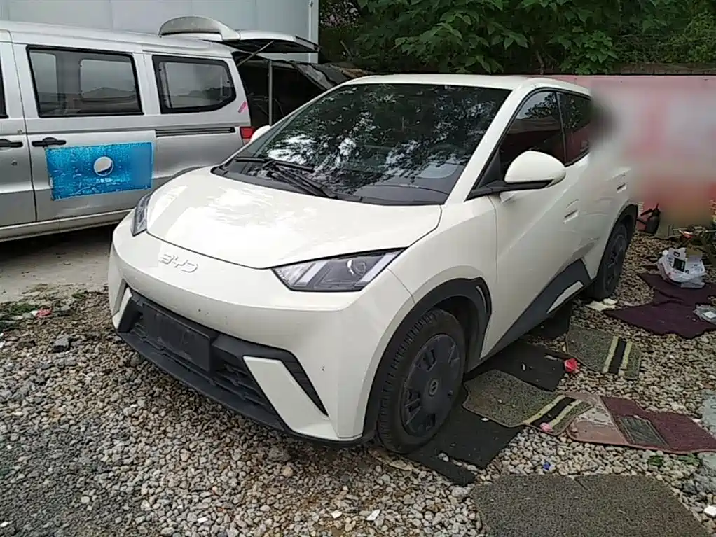 BYD Seagull 2024 Glory Edition 305km Vitality Edition