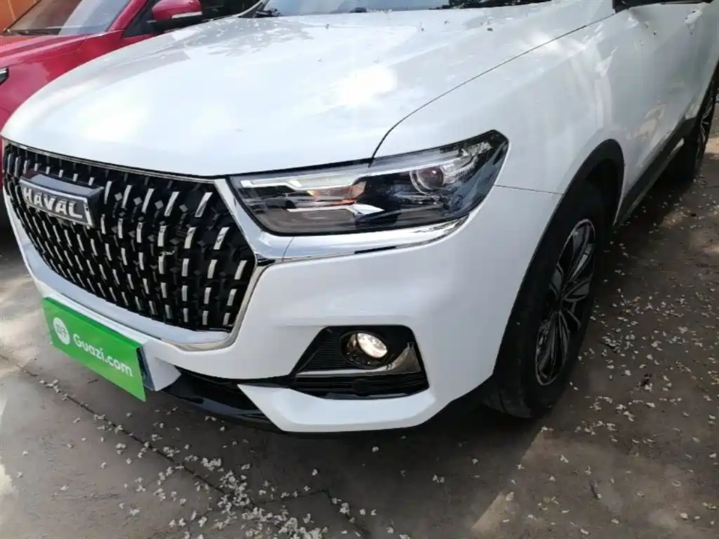 Haval H6 2023 National Trend Edition 1.5T Automatic Champion фото 24