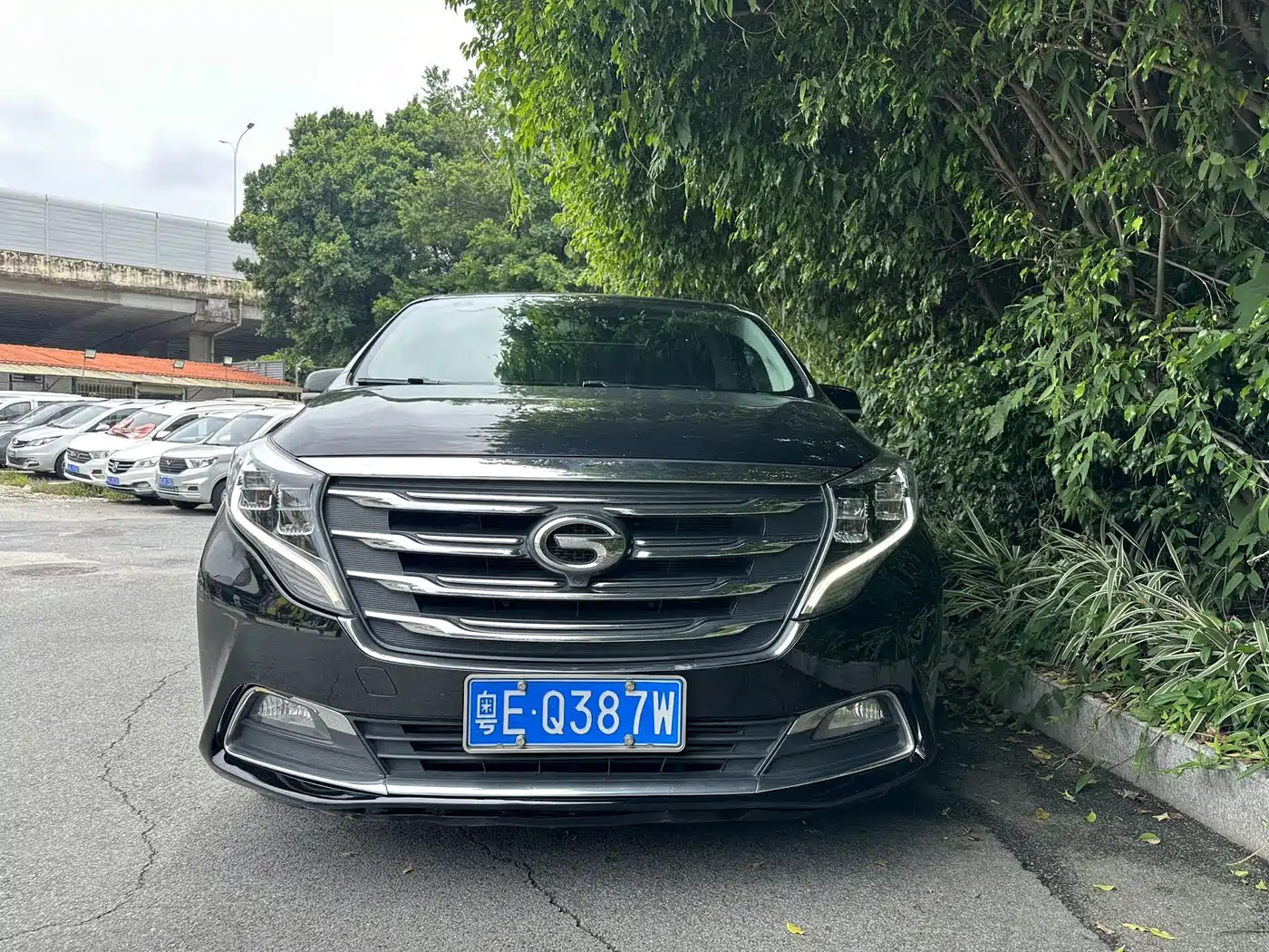 GAC Trumpchi Trumpchi M8 2018 320T Premium Edition
