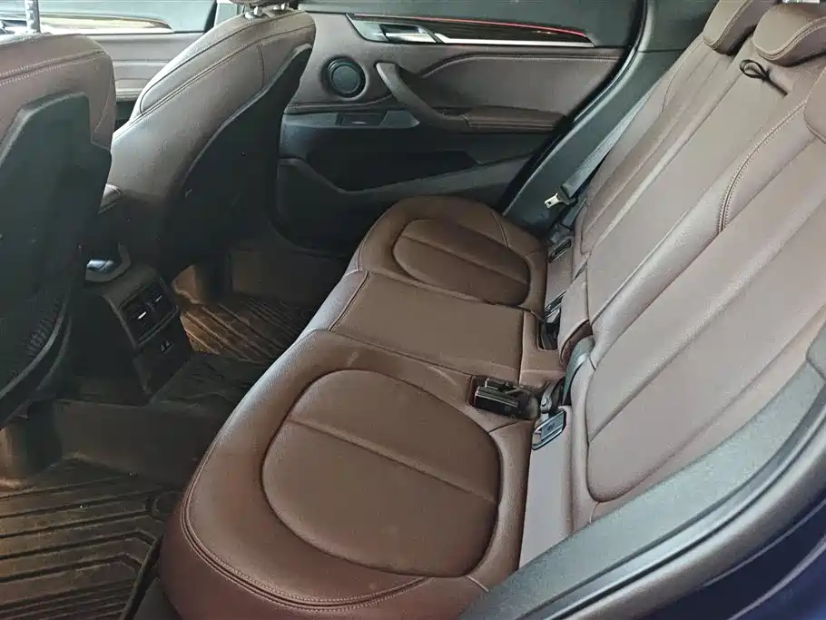 BMW X1 2020 xDrive25Li Premium Edition фото 11