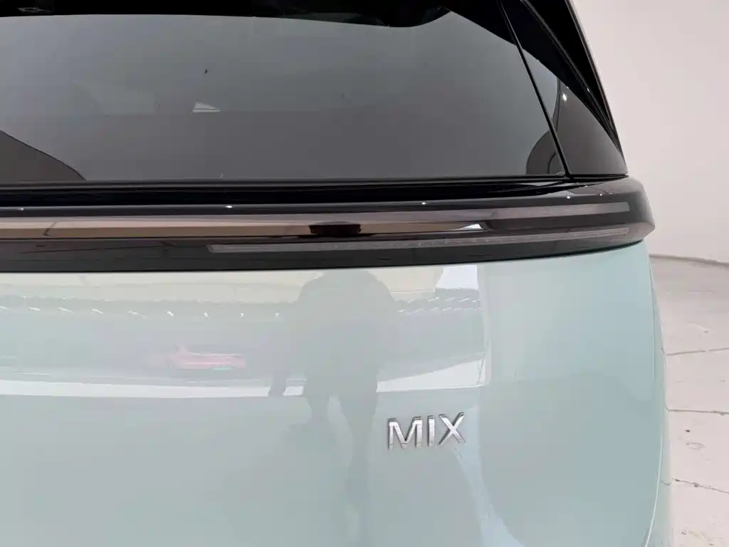 ZEEKR MIX 2026 2025 Smart Driving Edition