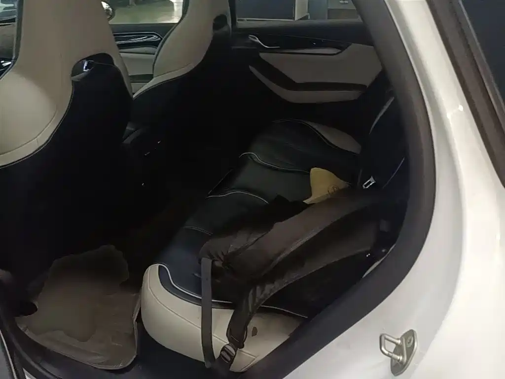 BYD Qin PLUS 2021 DM-i 55KM Flagship фото 17