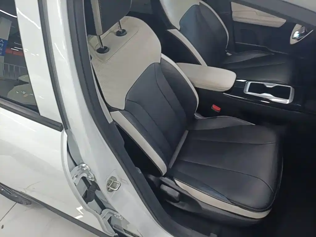Geely Geometry E Firefly 2024 2024 Model 401km Fluorescent
